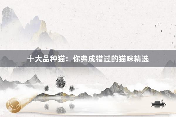 十大品种猫:你弗成错过的猫咪精选