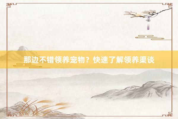 那边不错领养宠物?快速了解领养渠谈