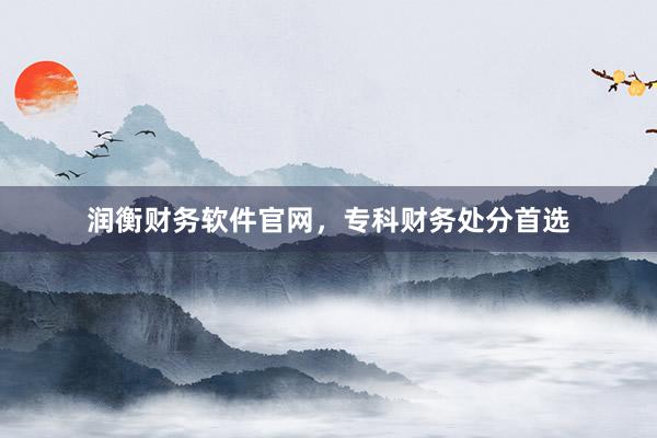 润衡财务软件官网,专科财务处分首选